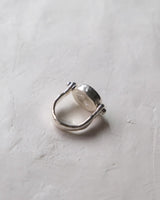 Eye flip ring Black Onyx