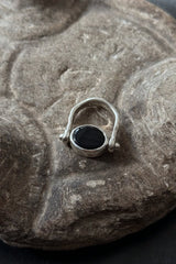 Eye flip ring Black Onyx